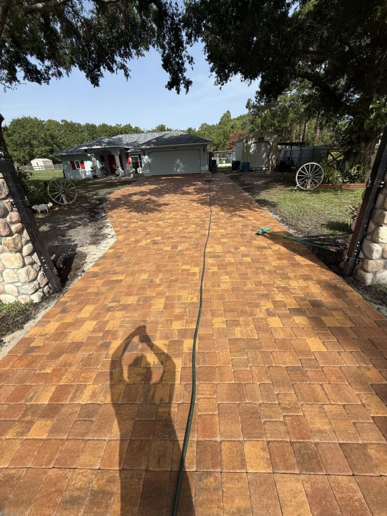 4E5DBF2B-77AE-4C83-ABDF-DBD7E6D475E7_1_102_o